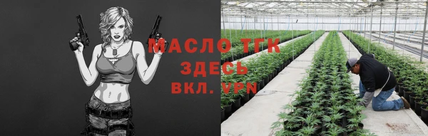 молекула духа Зеленодольск