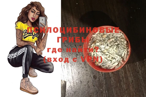 молекула духа Зеленодольск