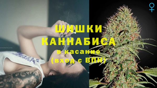 молекула духа Зеленодольск