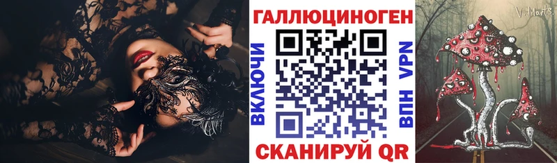 Галлюциногенные грибы Psilocybine cubensis  Купить где  Ефремов 